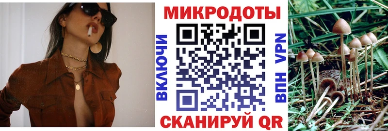 Галлюциногенные грибы мицелий  где можно купить   Темрюк 